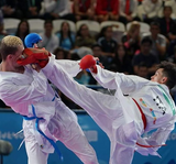 WKF scheenbeschermers